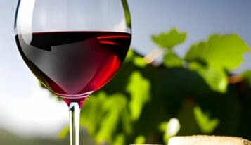 הכוכב העולה: התפתחות היין הישראלי בשוק העולמי